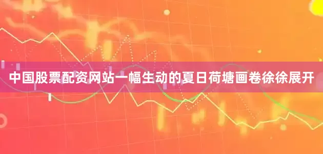 中国股票配资网站一幅生动的夏日荷塘画卷徐徐展开