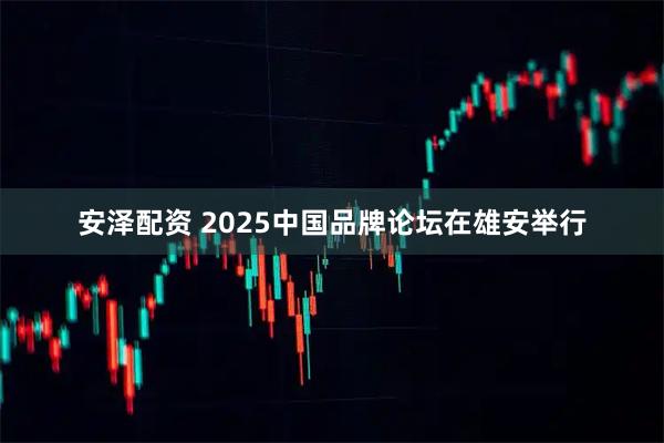 安泽配资 2025中国品牌论坛在雄安举行